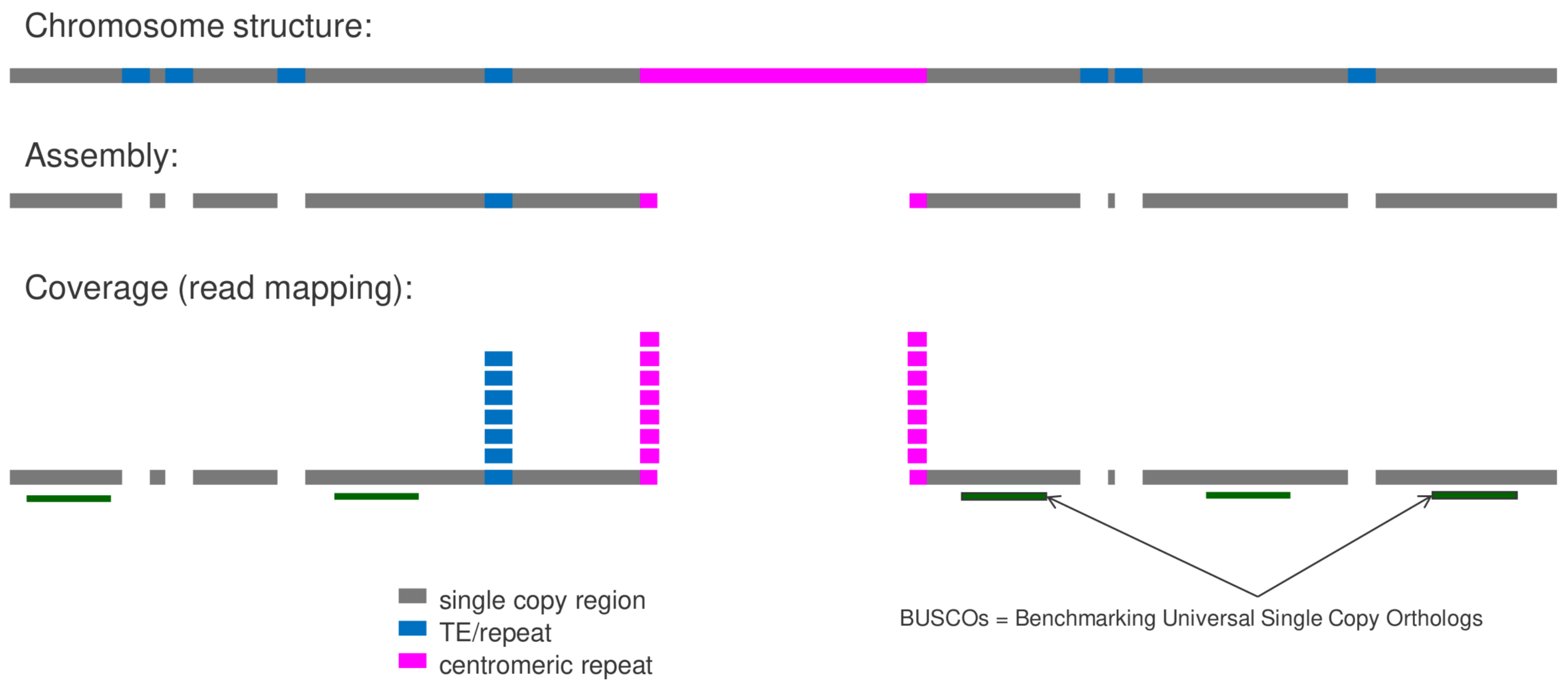 MGSE concept (Natarajan, 2025; doi:10.1186/s12864-025-11640-8)