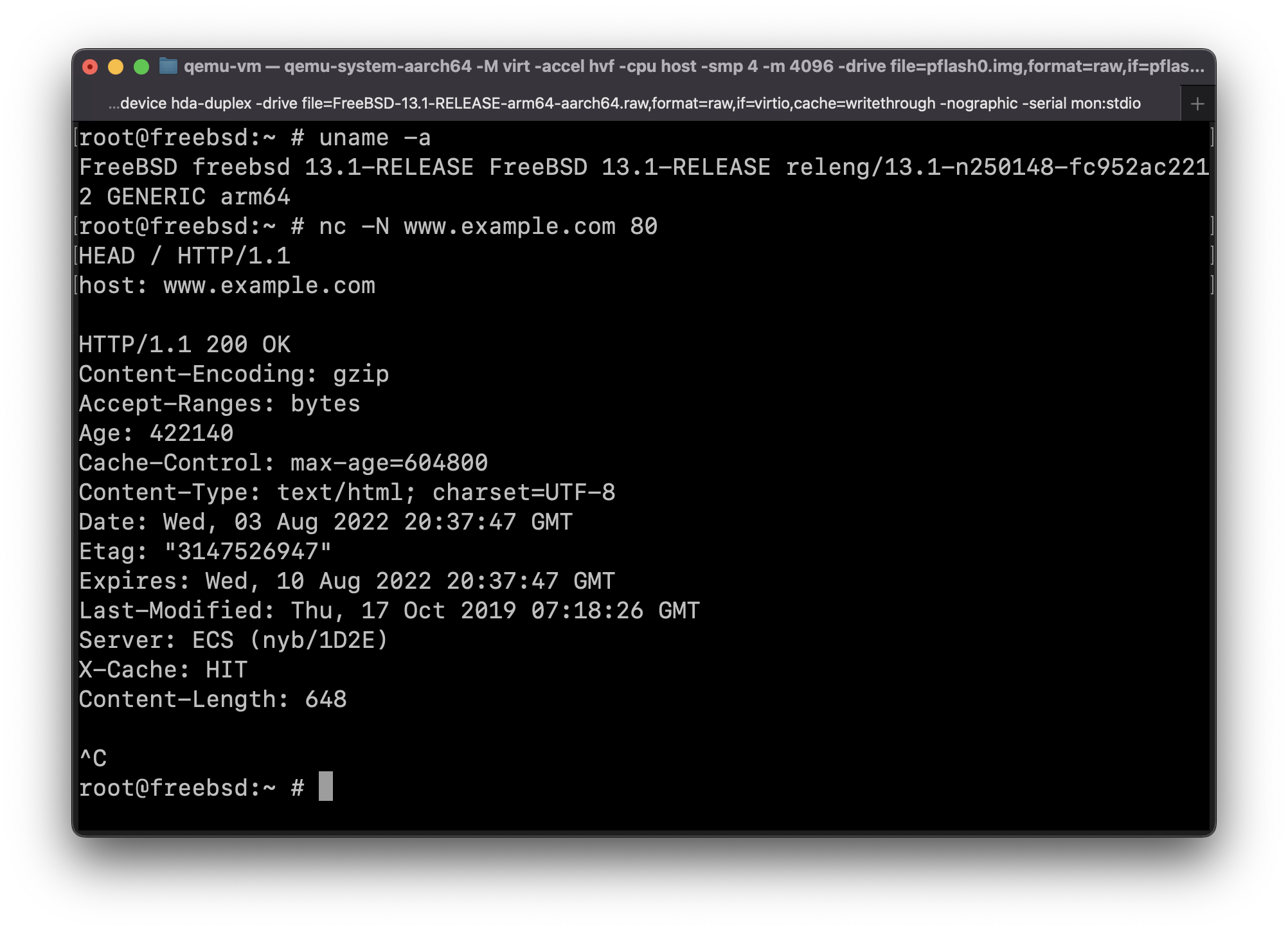 Another screenshot of FreeBSD 13.1-RELEASE for ARM64 console in QEMU on Apple Silicon Mac, this time showing that networking is working and is able to connect over HTTP to the website www.example.com