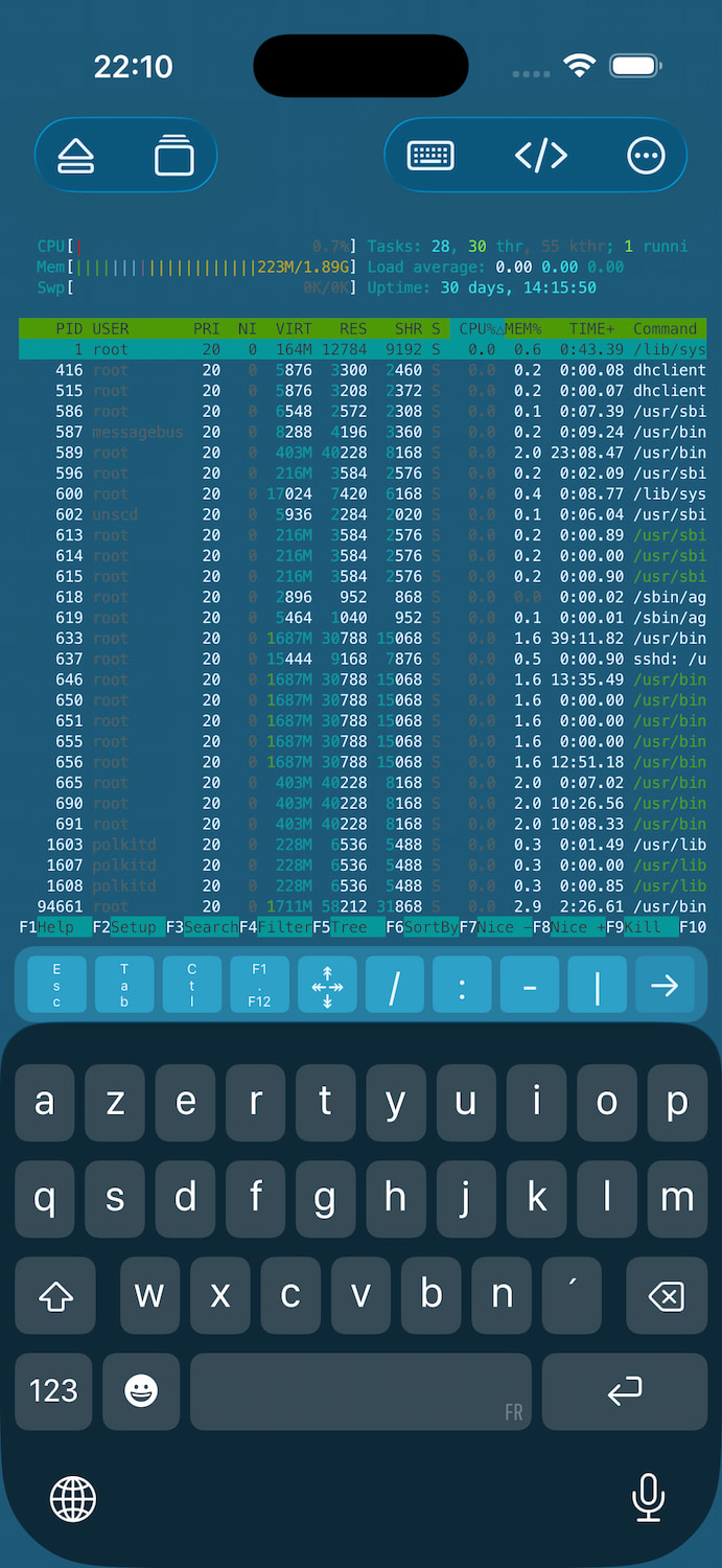 WebSSH iPhone SSH / SFTP / Port Forwarding client