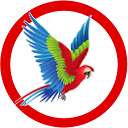 Macaw