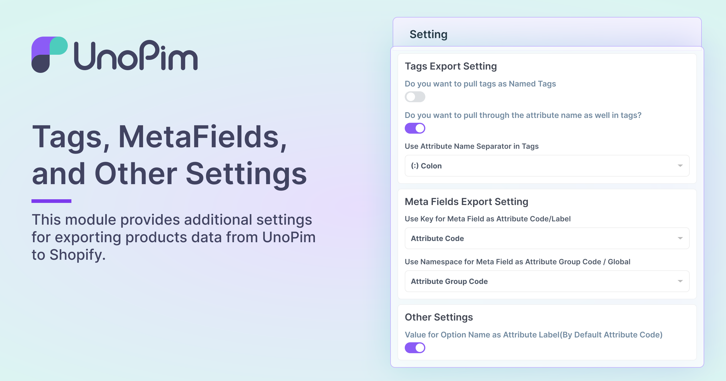 Tags, MetaFields, and Other Settings Interface
